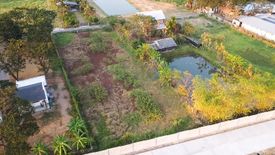 Land for sale in Nong Phueng, Chiang Mai