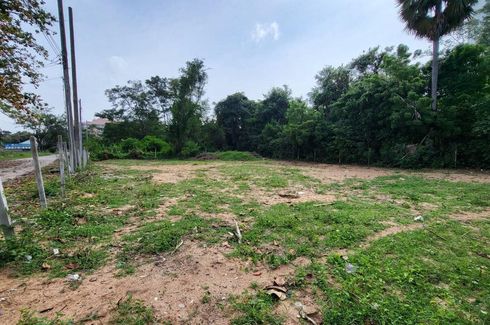 Land for sale in Nong Prue, Chonburi