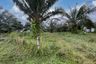 Land for sale in Khok Kloi, Phang Nga