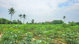 Land for sale in Nong Prue, Chonburi