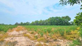 Land for sale in Nong Prue, Chonburi