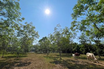 Land for sale in Na Toei, Phang Nga