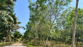 Land for sale in Na Toei, Phang Nga