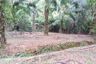 Land for sale in Tham, Phang Nga