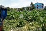 Land for sale in Yai Cha, Nakhon Pathom