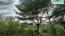 Land for sale in Tha Khai, Chachoengsao