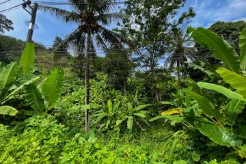 Land for sale in Sakhu, Phuket