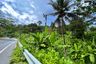 Land for sale in Sakhu, Phuket