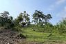 Land for sale in Tha Yu, Phang Nga