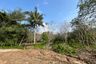 Land for sale in Tha Yu, Phang Nga