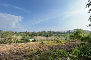 Land for sale in Tha Yu, Phang Nga