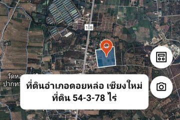 Land for sale in Doi Lo, Chiang Mai