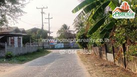 Land for sale in Nong Daeng, Maha Sarakham