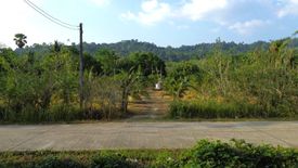 Land for sale in Khok Kloi, Phang Nga