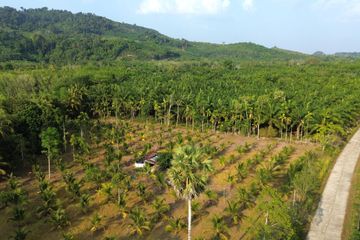 Land for sale in Khok Kloi, Phang Nga