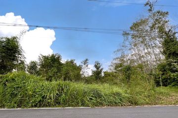 Land for sale in Na Toei, Phang Nga