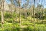Land for sale in Choeng Thale, Phuket