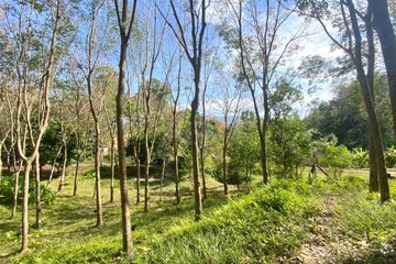Land for sale in Choeng Thale, Phuket