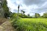 Land for sale in Tha Yu, Phang Nga