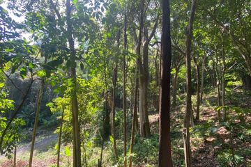Land for sale in Karon, Phuket