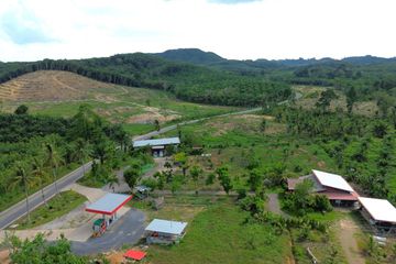 Land for rent in Kalai, Phang Nga