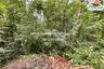 Land for Sale or Rent in Thung Song Hong, Bangkok near MRT Chaeng Watthana 14