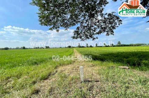 Land for sale in Nong Don, Saraburi