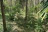 Land for sale in Karubi, Pattani