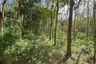 Land for sale in Karubi, Pattani