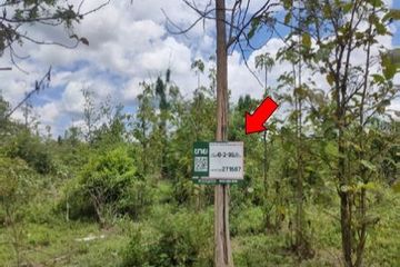 Land for sale in Nong Pla Sawai, Lamphun