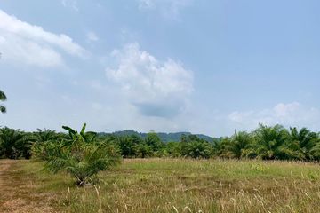 Land for sale in Khok Kloi, Phang Nga