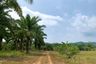Land for sale in Khok Kloi, Phang Nga
