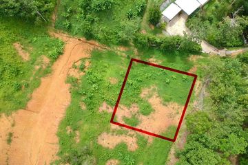 Land for sale in Tha Yu, Phang Nga