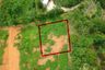Land for sale in Tha Yu, Phang Nga