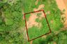 Land for sale in Tha Yu, Phang Nga