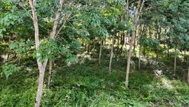 Land for sale in Ao Nang, Krabi