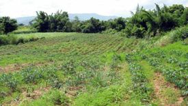 Land for sale in Sathan, Chiang Rai