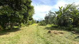 Land for sale in Thai Mueang, Phang Nga