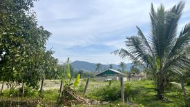 Land for sale in Thai Mueang, Phang Nga