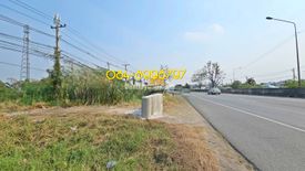 Land for rent in Na Mai, Pathum Thani