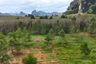 Land for sale in Nong Thale, Krabi