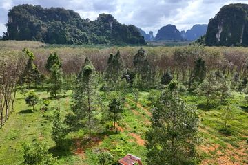 Land for sale in Nong Thale, Krabi