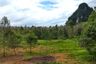 Land for sale in Nong Thale, Krabi