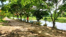 Land for sale in Huai Yai, Chonburi