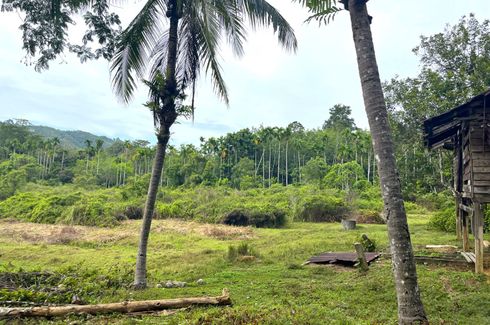 Land for sale in Lo Yung, Phang Nga