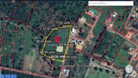 Land for sale in Nam Phrae, Chiang Mai