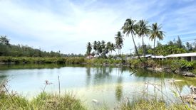 Land for sale in Khuekkhak, Phang Nga