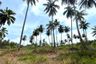 Land for sale in Khuekkhak, Phang Nga