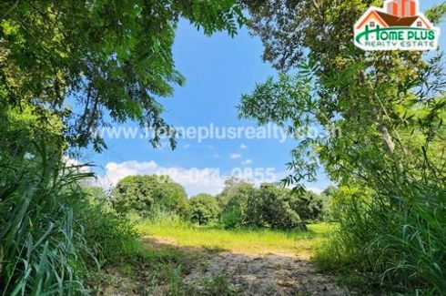 Land for sale in San Sai Luang, Chiang Mai