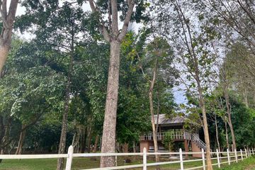 Land for sale in Khok Kloi, Phang Nga